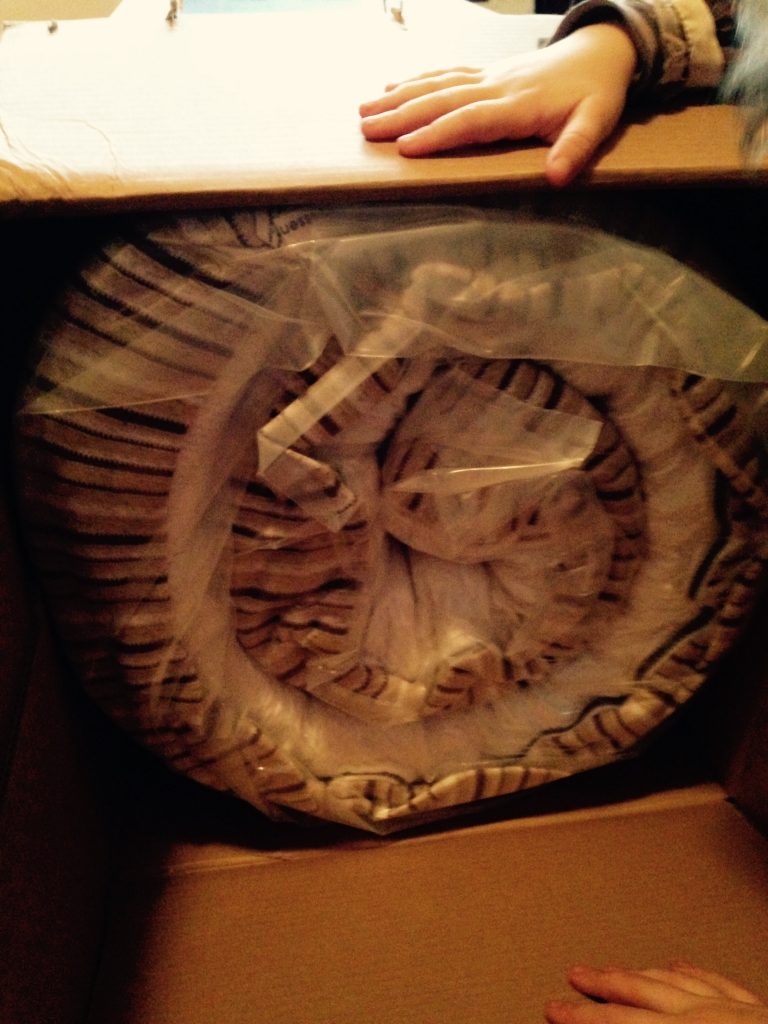 essentia ready to grow